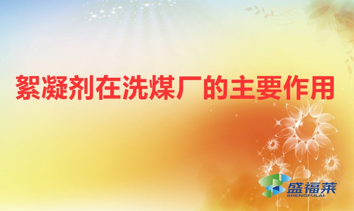 絮凝剂在洗煤厂的主要作用