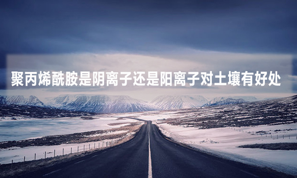 聚丙烯酰胺是阴离子还是阳离子对土壤有好处