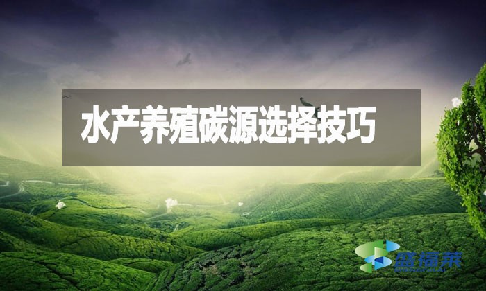 水产养殖碳源选择技巧：提升效益与可持续性的关键