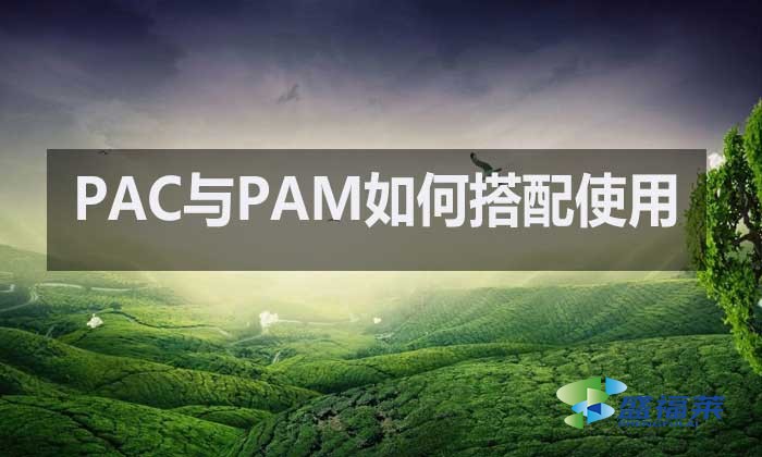 聚合氯化铝与聚丙烯酰胺：水处理中的黄金搭档如何高效配合?