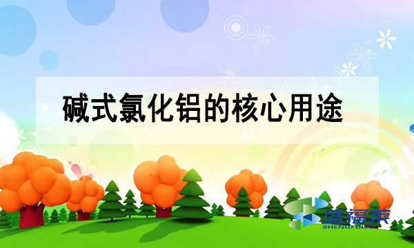 碱式氯化铝的核心用途与行业应用