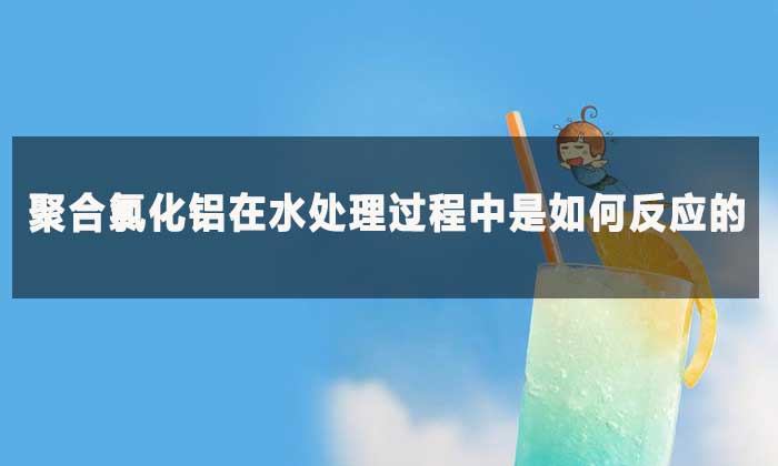 聚合氯化铝在水处理过程中是如何反应的?